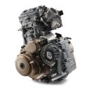 Motor 401 Vit-/Svartpilen